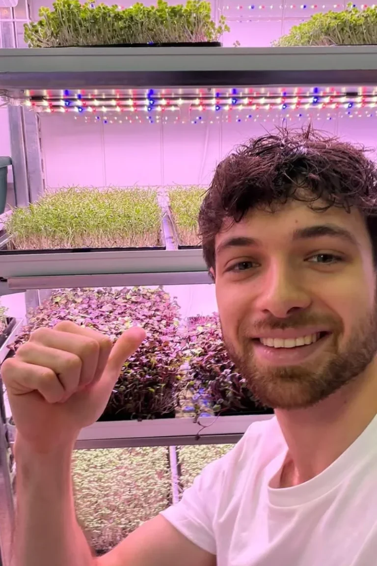 zgreens_instagram_1