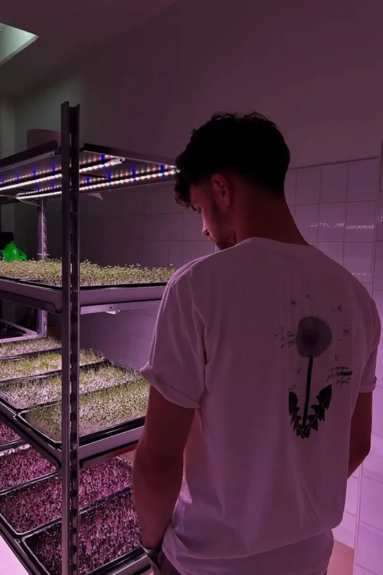 zgreens_instagram_2