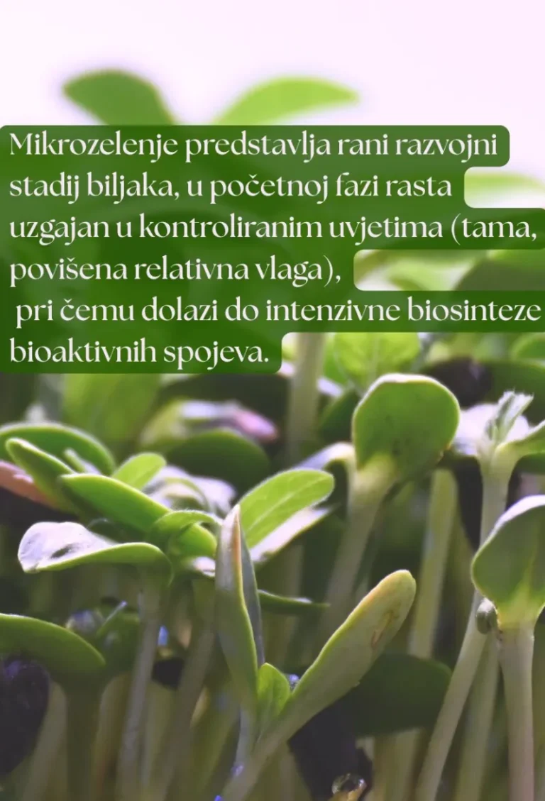 zgreens_instagram_3